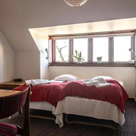 维比库鲁酒店 酒店